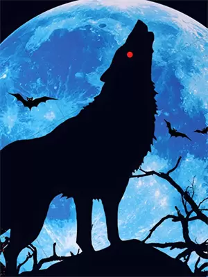 小马宝莉无尽森林