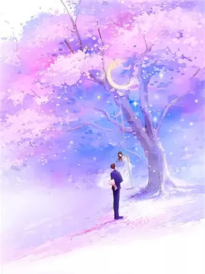 从丫鬟到王妃的小说