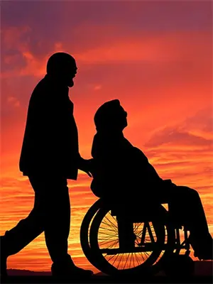 心域领主林星遥林星最新好看小说_最新完本小说心域领主林星遥林星