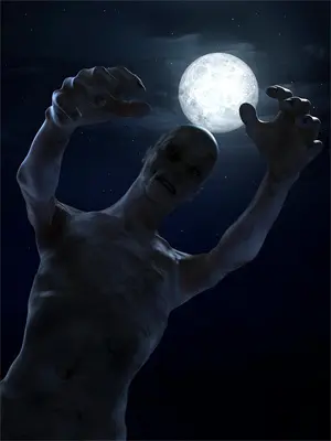 我想看火力少年王之