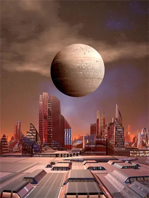 书页里的星光的答案