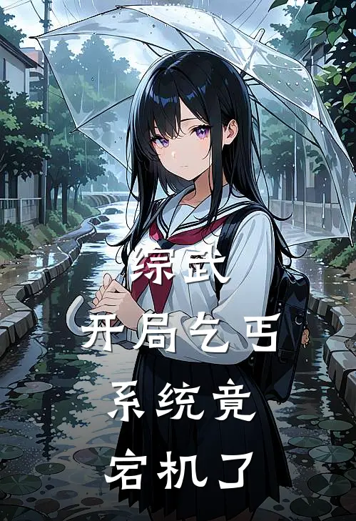 综武：开局乞丐，系统竟宕机了