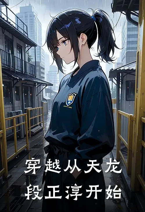 穿越从天龙段正淳开始